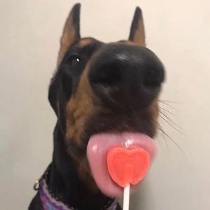 Meet your Posher, Brianna